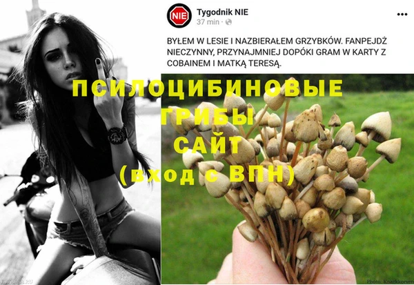 меф Краснослободск