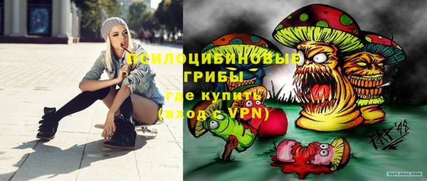 не бодяженный Краснотурьинск