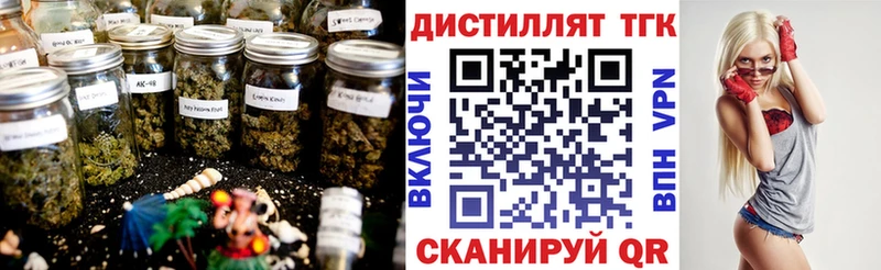 даркнет сайт  Чкаловск  ТГК гашишное масло 