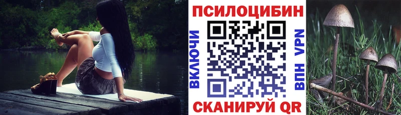 Псилоцибиновые грибы мухоморы  закладка  MEGA как зайти  Чкаловск 