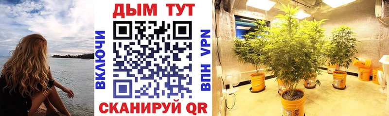 Каннабис конопля  сайты даркнета Telegram  Чкаловск 